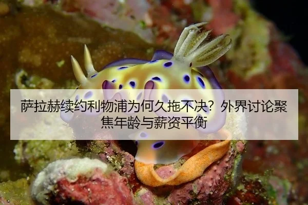 萨拉赫续约利物浦为何久拖不决？外界讨论聚焦年龄与薪资平衡